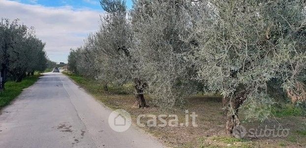 Terreno agricolo in commerciale in Via Vecchia per Canosa