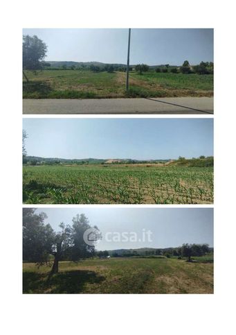 Terreno agricolo in commerciale in colleranesco