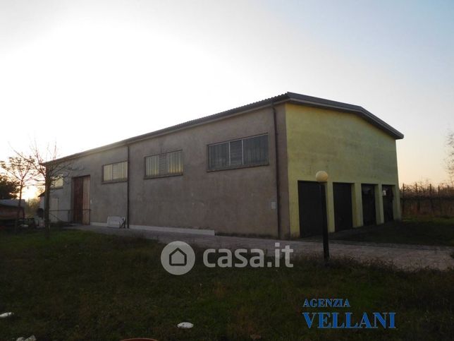 Capannone in commerciale in