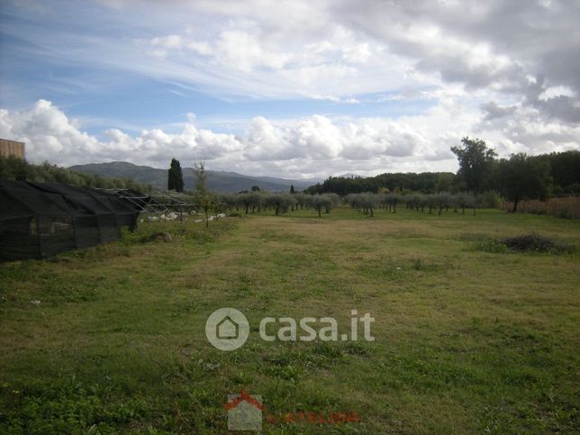 Terreno agricolo in commerciale in 
