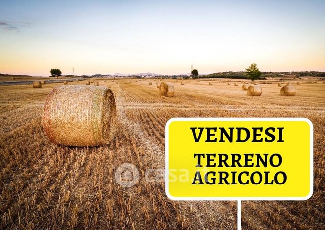 Terreno agricolo in commerciale in