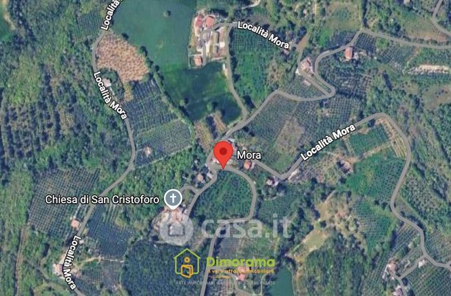 Terreno agricolo in commerciale in LocalitÃ  Mora