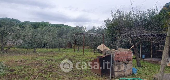 Terreno agricolo in commerciale in Loc. Branczzzi