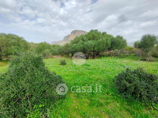 Terreno agricolo in commerciale in Via Mimosa Azalea