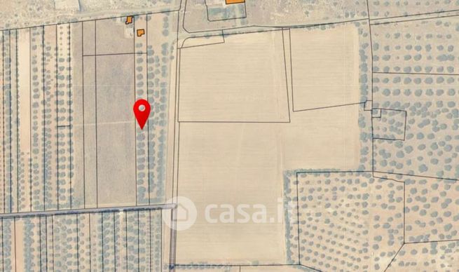 Terreno agricolo in commerciale in Strada Provinciale 124