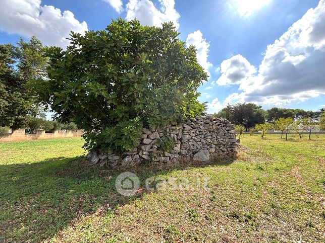 Terreno agricolo in commerciale in Contrada san domenico