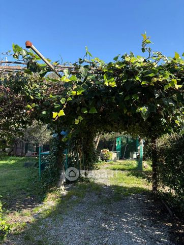 Terreno agricolo in commerciale in Via Aurelia Sud