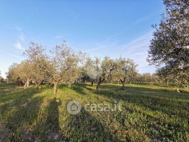 Terreno edificabile in residenziale in 