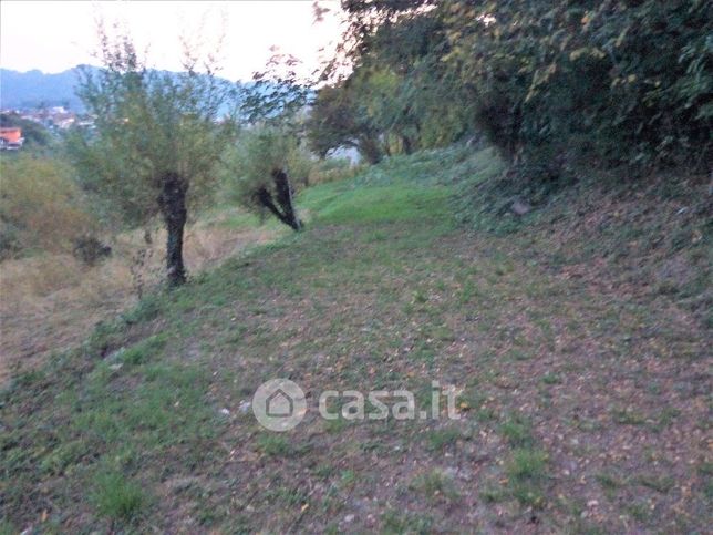 Terreno agricolo in commerciale in sant'anna
