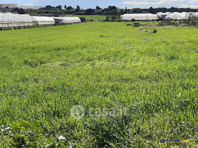 Terreno agricolo in commerciale in Contrada Valli