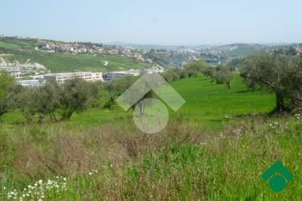 Terreno edificabile in residenziale in Strada La Ciarulla 179