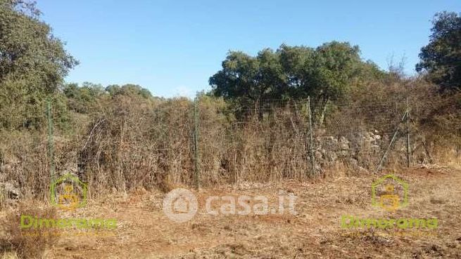 Terreno agricolo in commerciale in Località Nuraghe Losa