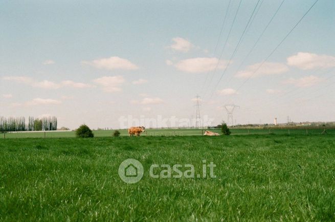 Terreno agricolo in commerciale in Via Principe di Piemonte