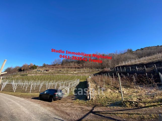 Terreno agricolo in commerciale in Frazione Cortesano