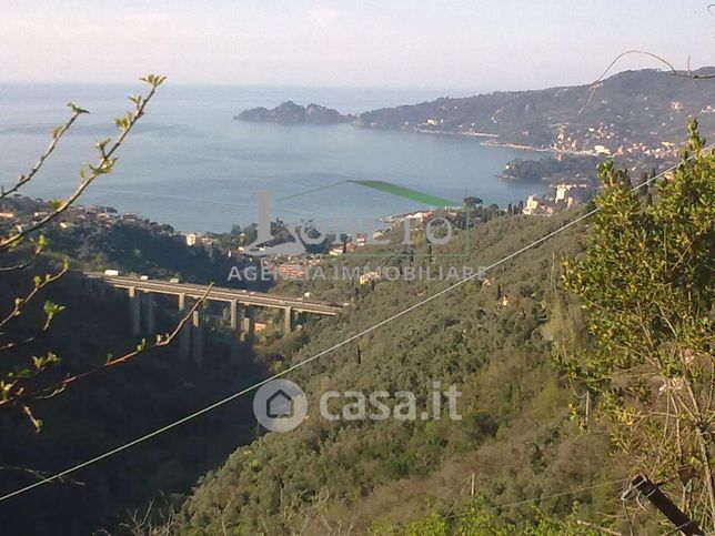 Rustico/casale in residenziale in 