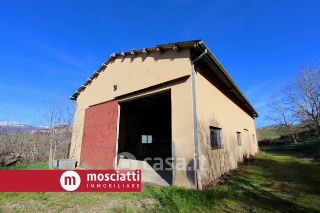 Terreno agricolo in commerciale in Località San Luca