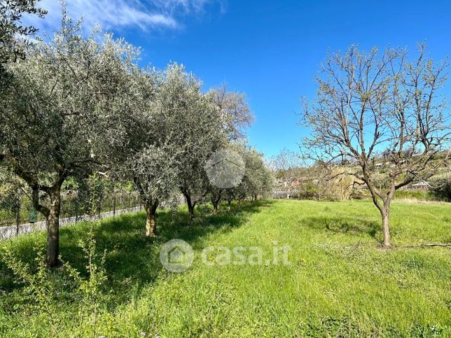 Terreno agricolo in commerciale in Strada del Torcolo 21