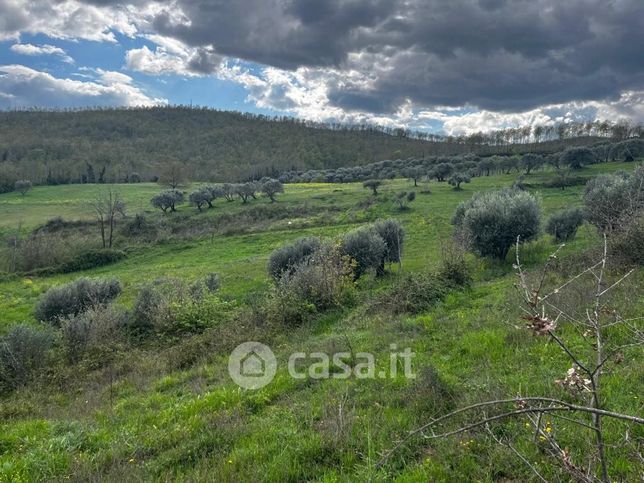 Terreno agricolo in commerciale in Via Crocelle
