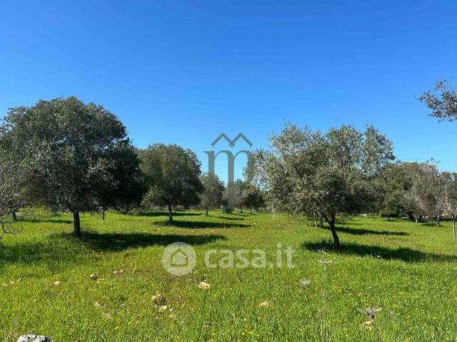 Terreno edificabile in residenziale in Contrada Matteopati