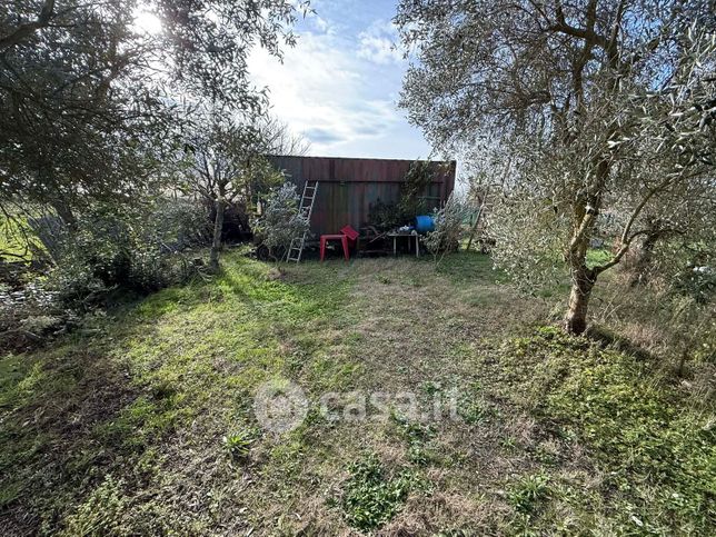 Terreno agricolo in commerciale in Strada Provinciale Barbaruta