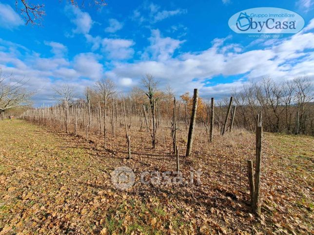 Terreno agricolo in commerciale in 