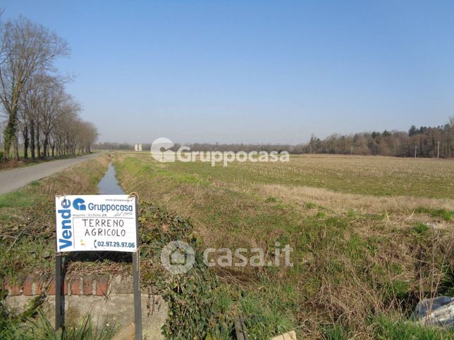 Terreno agricolo in commerciale in Cascina Pietrasanta