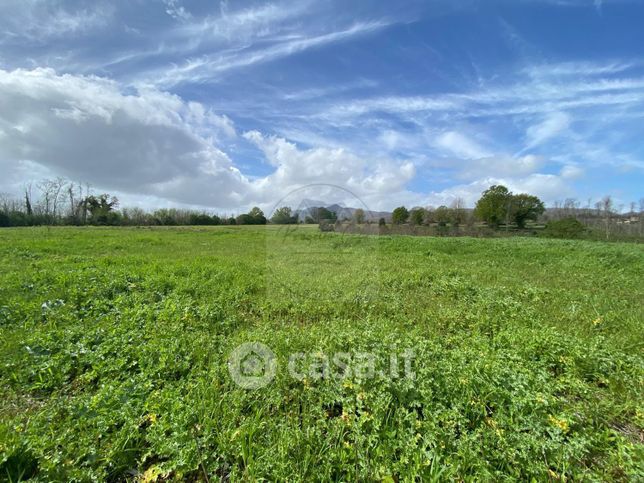 Terreno agricolo in commerciale in Via Tuscolana