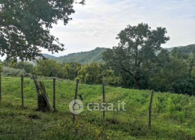 Terreno agricolo in commerciale in Via di Vezzano