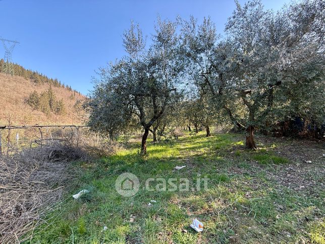 Terreno agricolo in commerciale in Via di Davanzello