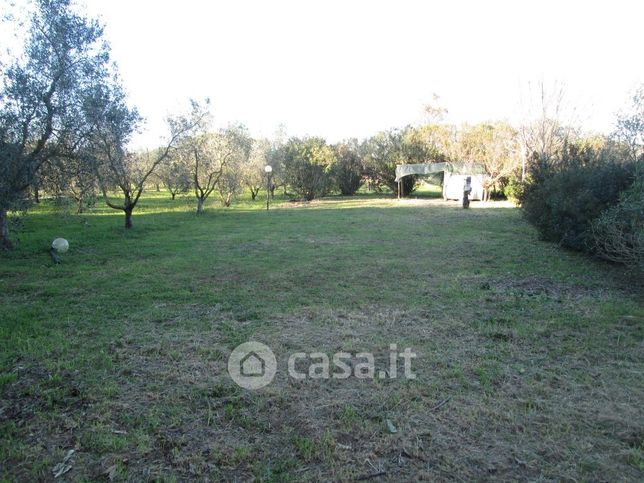 Terreno agricolo in commerciale in Strada GIANNELLA