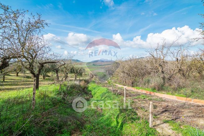 Terreno agricolo in commerciale in Strada Senza Nome