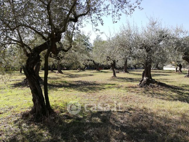 Terreno edificabile in residenziale in Contrada Sablanico