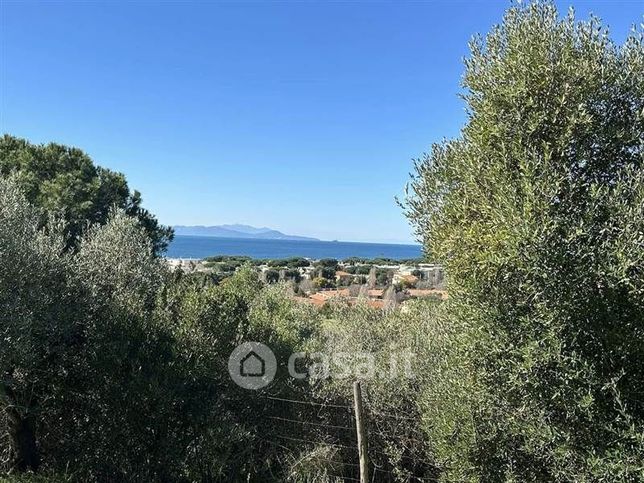 Terreno agricolo in commerciale in 