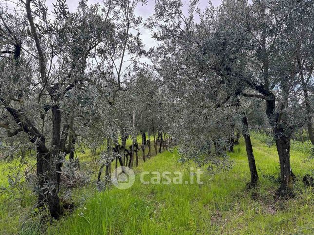 Terreno agricolo in commerciale in 