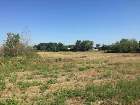 Terreno agricolo in commerciale in Strada Cascine Barbavara