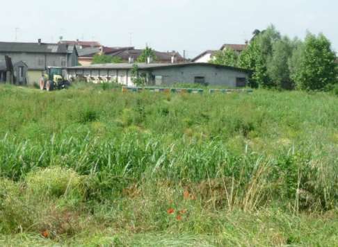 Terreno agricolo in commerciale in Via Fornace Vecchia