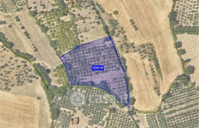 Terreno agricolo in commerciale in 