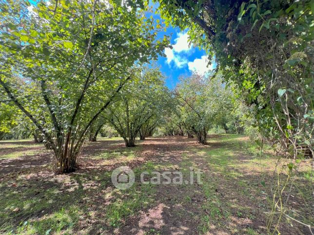 Terreno agricolo in commerciale in Via Marco Polo