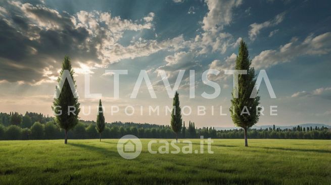 Terreno agricolo in commerciale in Via XX Settembre