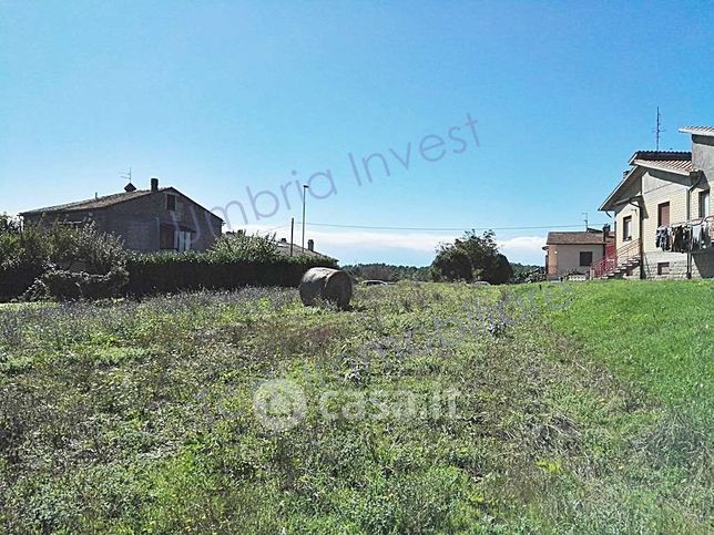 Terreno edificabile in residenziale in Strada Senza Nome