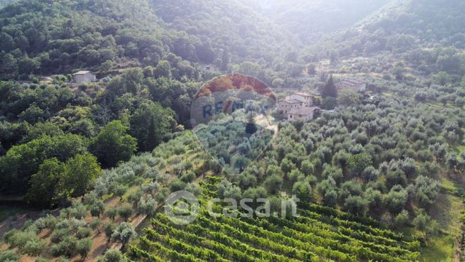 Terreno agricolo in commerciale in 