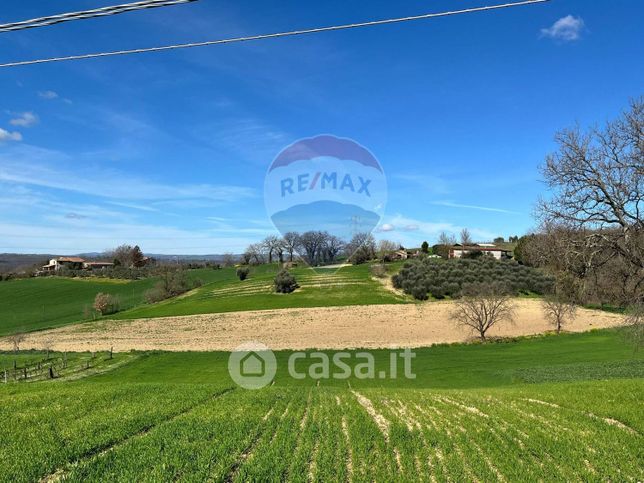 Terreno agricolo in commerciale in Strada della Piantata