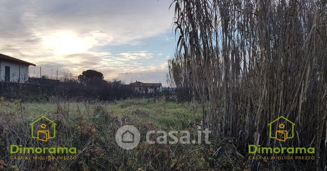 Terreno agricolo in commerciale in Via del Puntone