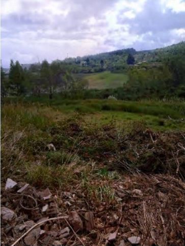 Terreno agricolo in commerciale in Contrada Vanelle