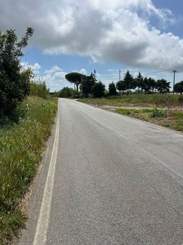 Terreno agricolo in commerciale in Via Appia Antica 12