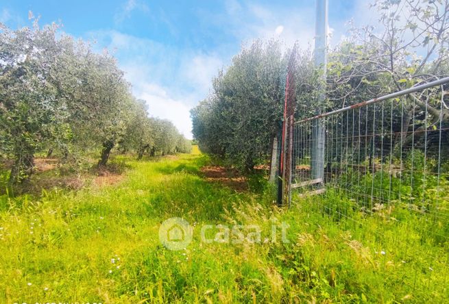 Terreno agricolo in commerciale in Via Tullio Giordana