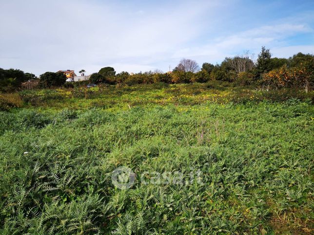 Terreno agricolo in commerciale in Contrada Madonna Marcellino