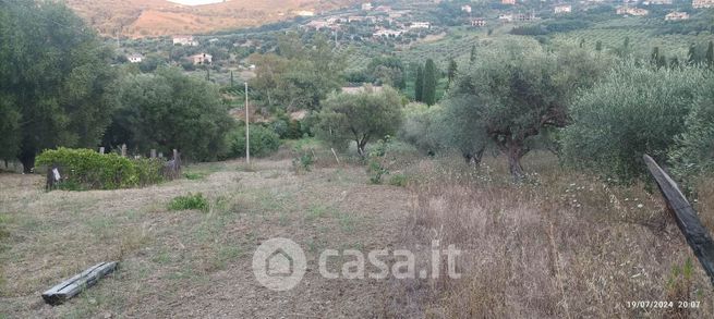 Terreno agricolo in commerciale in Via Gennaro Serra