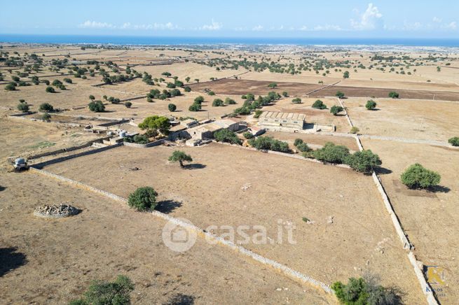 Terreno agricolo in commerciale in Strada Provinciale 110