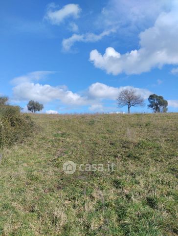 Terreno agricolo in commerciale in Via delle Polveriere